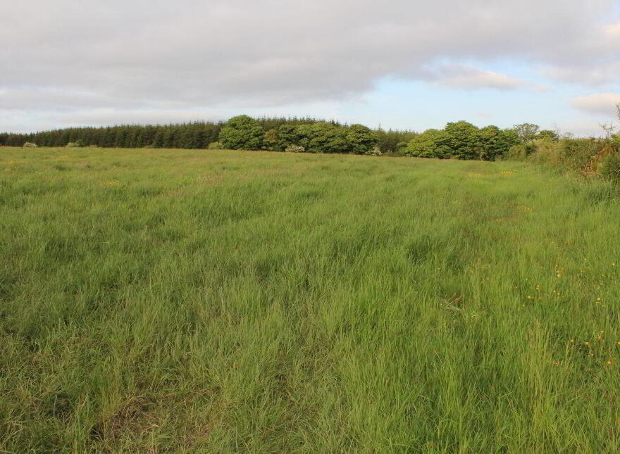 Caherlane, Abbeyfeale
