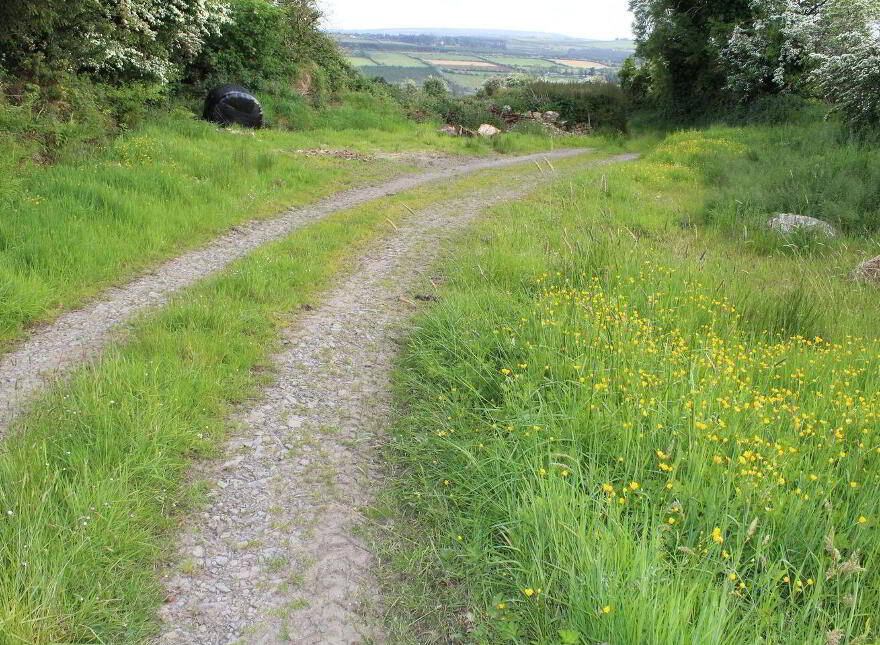 Caherlane, Abbeyfeale
