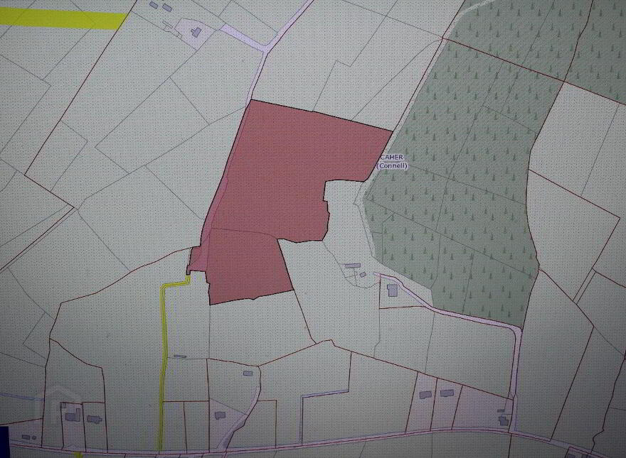Caherlane, Abbeyfeale