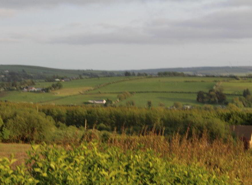 Caherlane, Abbeyfeale