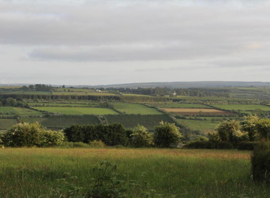 Caherlane, Abbeyfeale