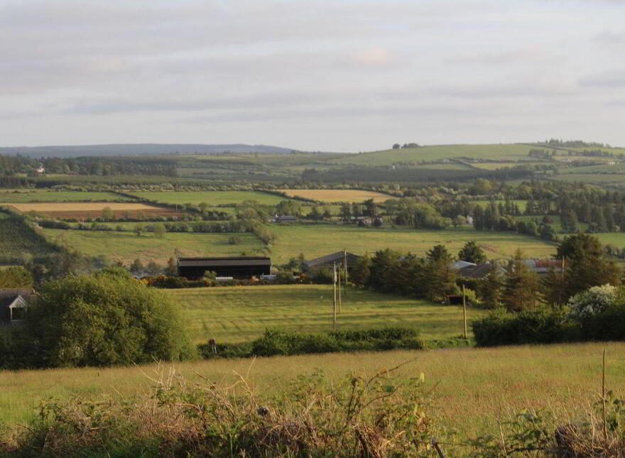 Caherlane, Abbeyfeale