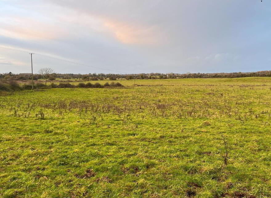 55 Acres, Arden Road, Tullamore