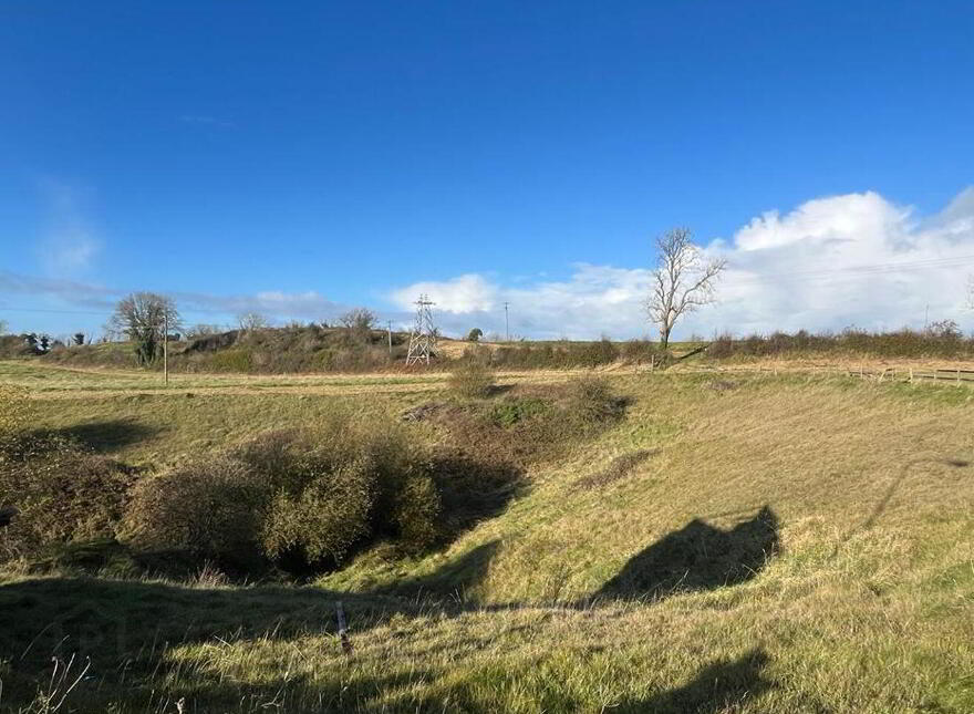 55 Acres, Arden Road, Tullamore