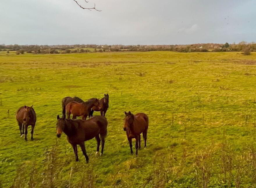 55 Acres, Arden Road, Tullamore