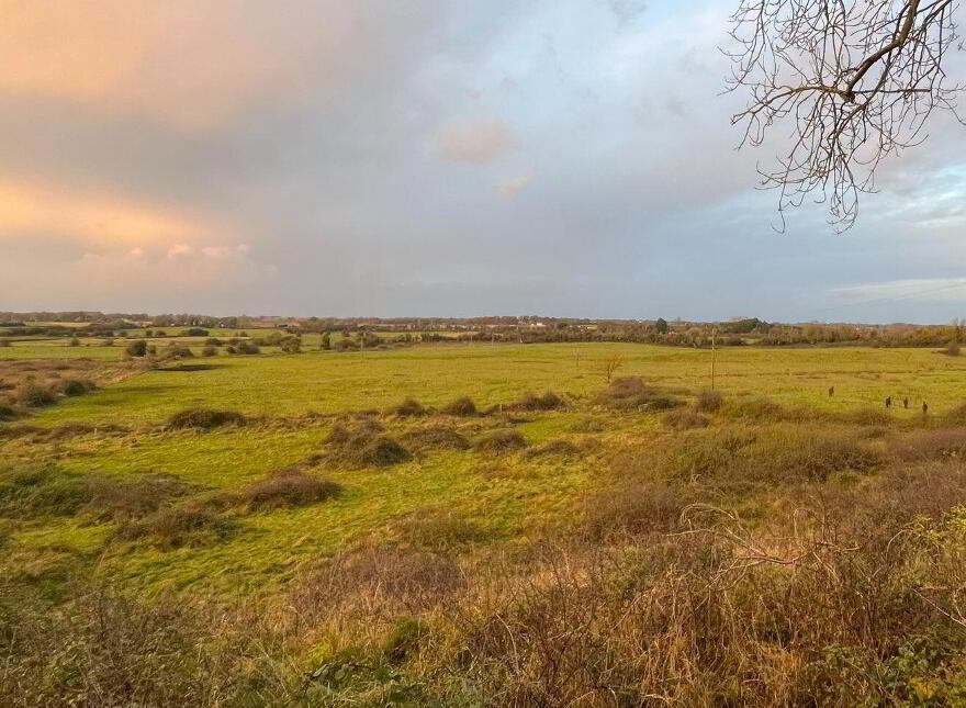 55 Acres, Arden Road, Tullamore