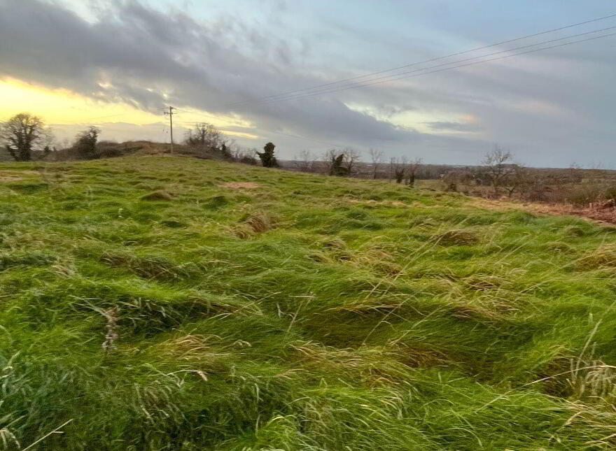 55 Acres, Arden Road, Tullamore