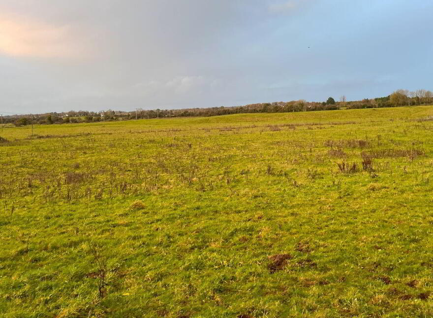 55 Acres, Arden Road, Tullamore