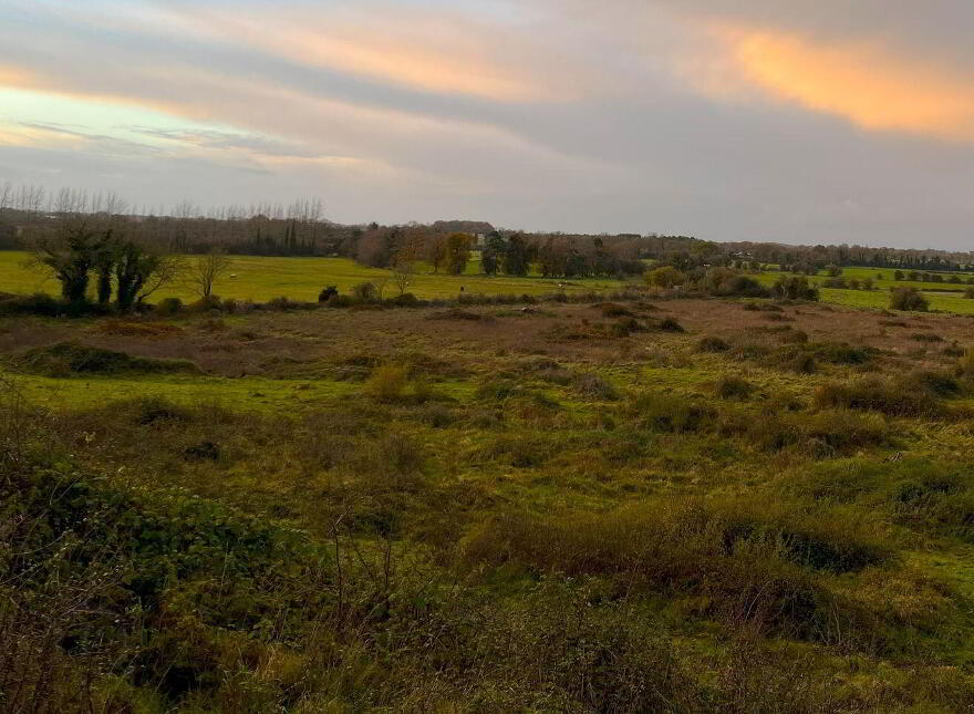 55 Acres, Arden Road, Tullamore