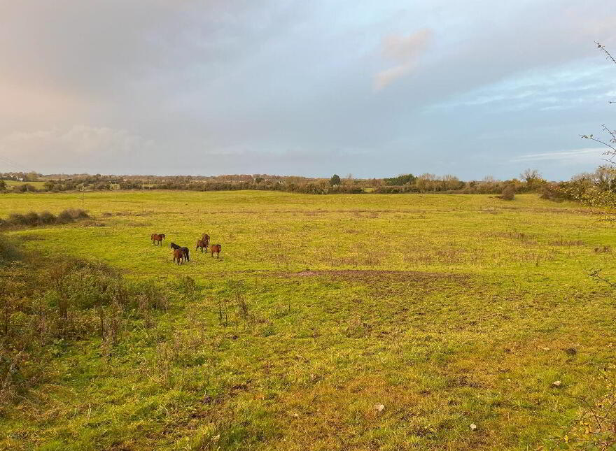 55 Acres, Arden Road, Tullamore