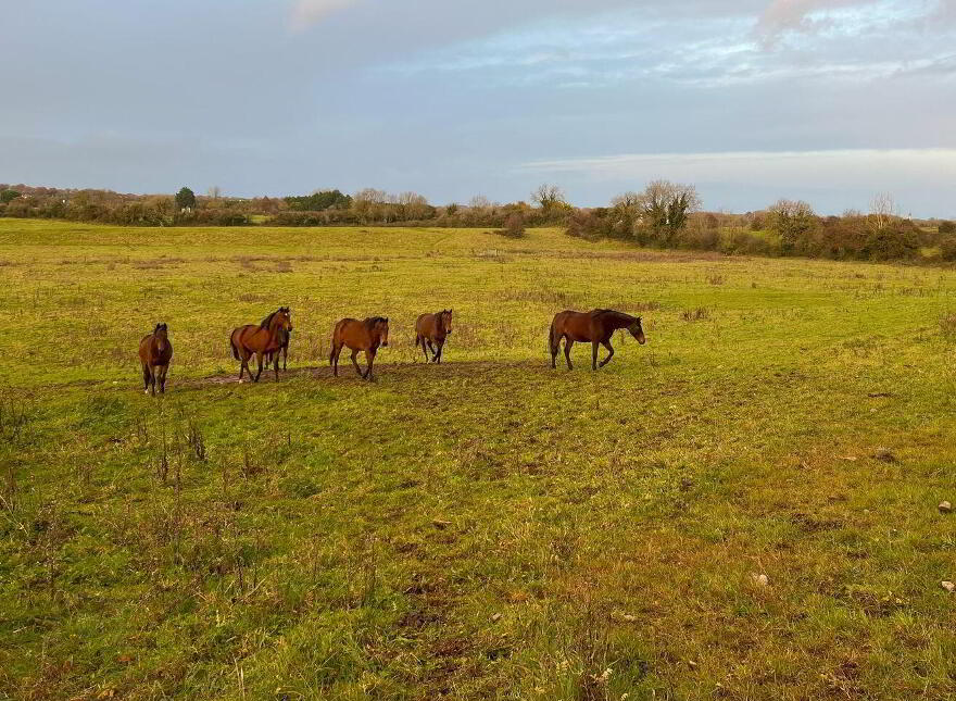 55 Acres, Arden Road, Tullamore