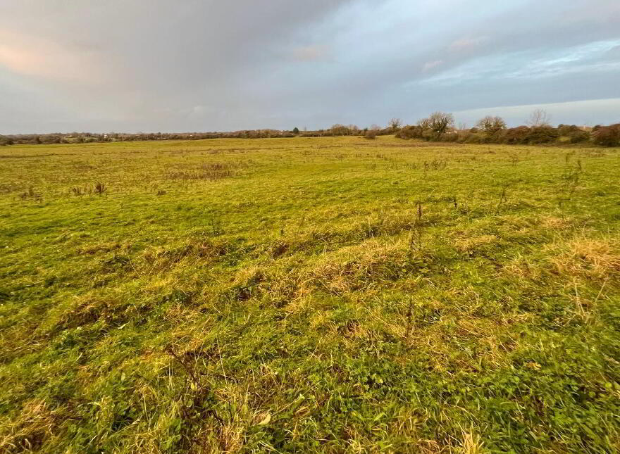 55 Acres, Arden Road, Tullamore