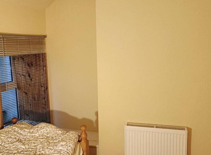 5 Bridge Street, Cahersiveen, V23NC84