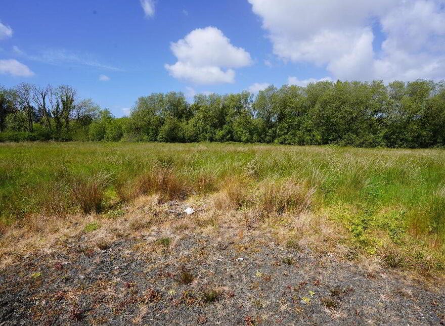 Feighroe, Connolly, Ennis, V95PYN1