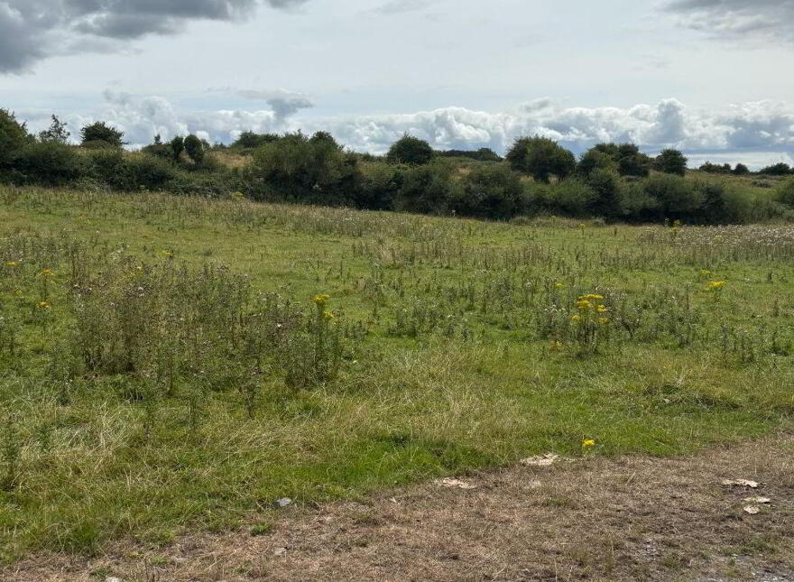 Ballynacragga, Newmarket On Fergus