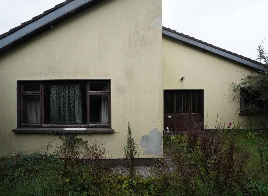 4 Gleann-Na- Smól, Shannon, V14N294