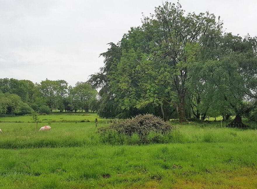 Knockendarragh, Donard