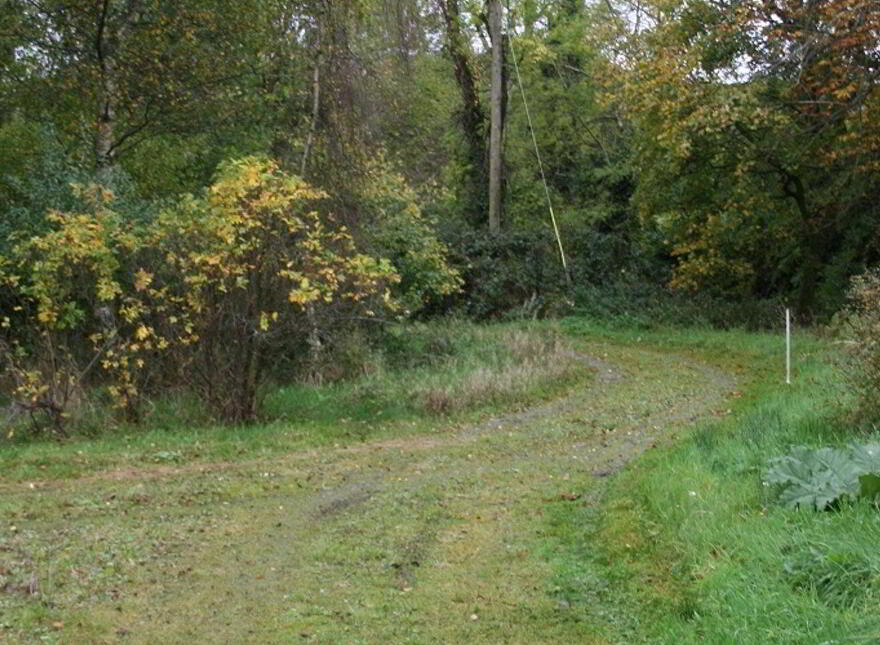 Knockendarragh, Donard