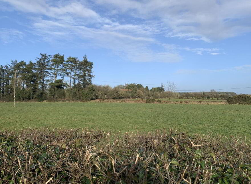 Ballinlass, Mountbellew