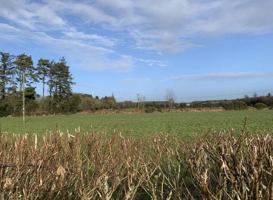Ballinlass, Mountbellew