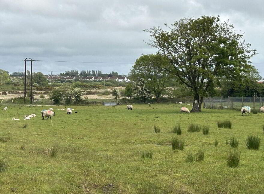 Cloonfush, Tuam
