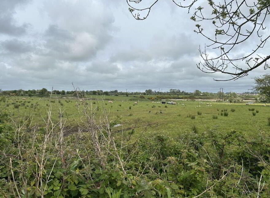 Cloonfush, Tuam
