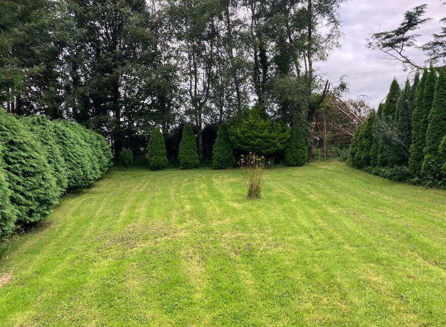 Carrowkeel, Hollymount, F12H020