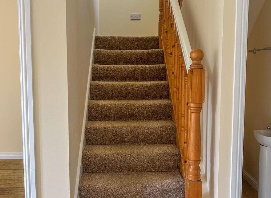 204 Palace Fields, Tuam, H54W240