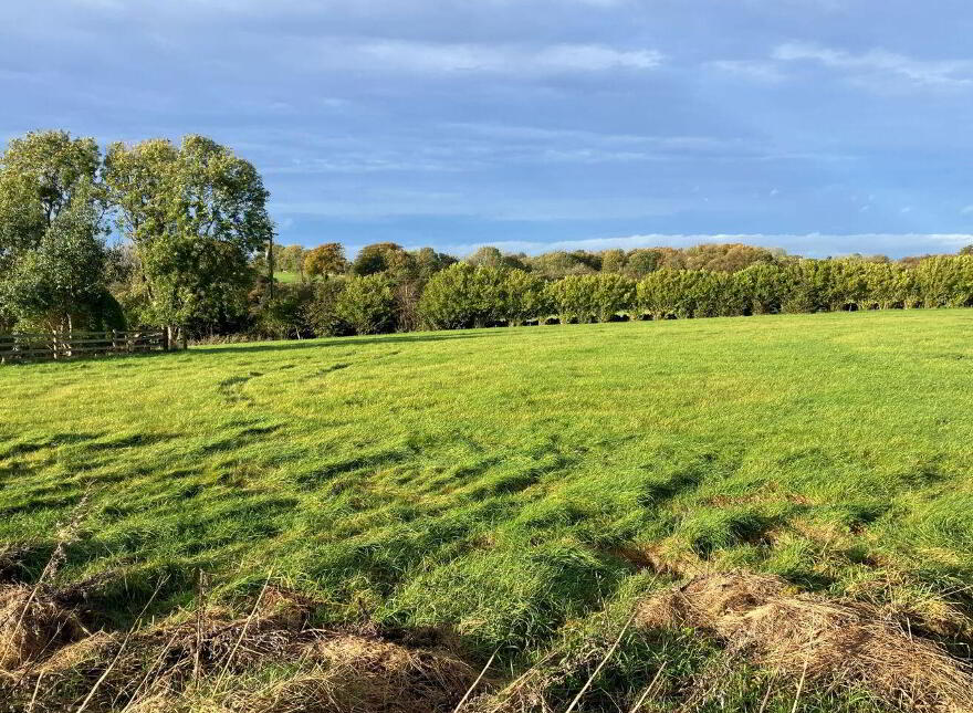 Woodquay, Tuam