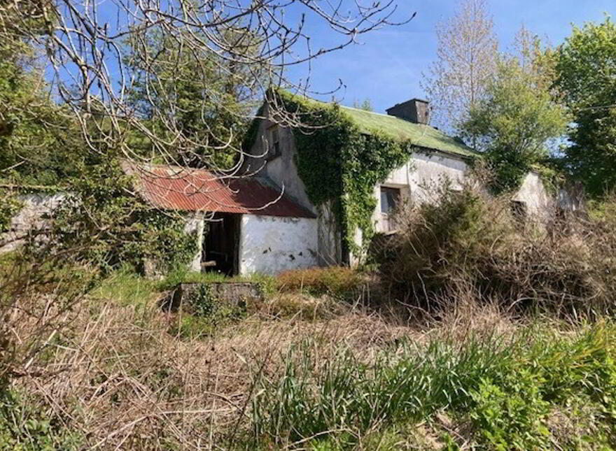 Tylagh Kielduff, Tralee