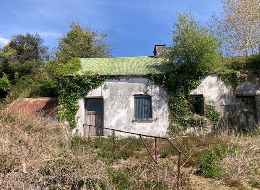 Tylagh Kielduff, Tralee