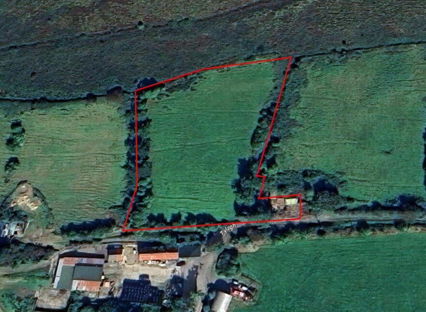 Tylagh Kielduff, Tralee