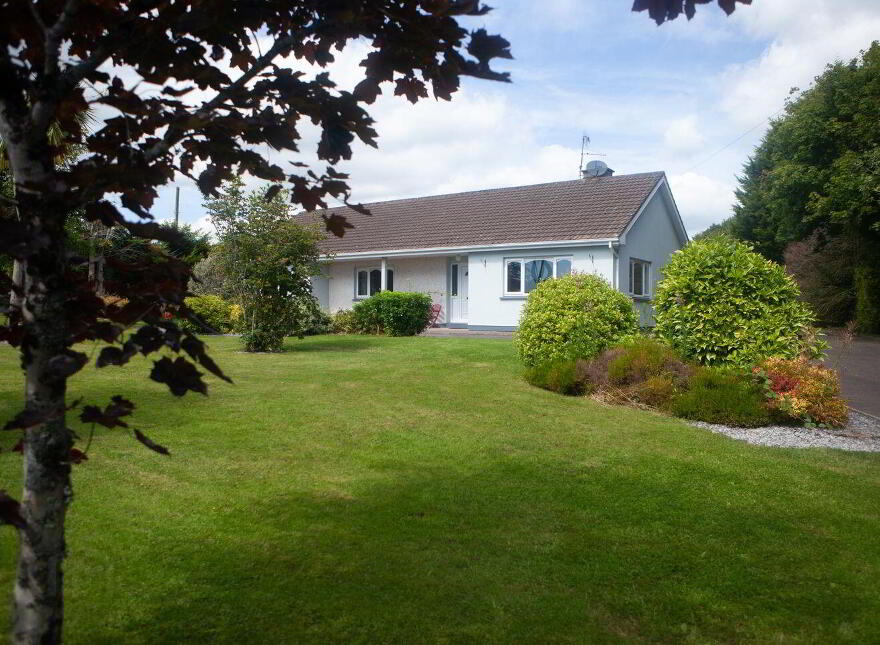 Killeenagh, Knockanore, P51E0F1