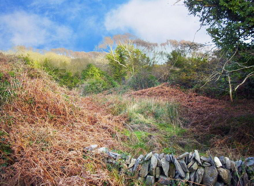 Ballyrisode, Goleen, P81A992