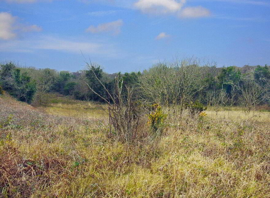 Ballyrisode, Goleen, P81A992