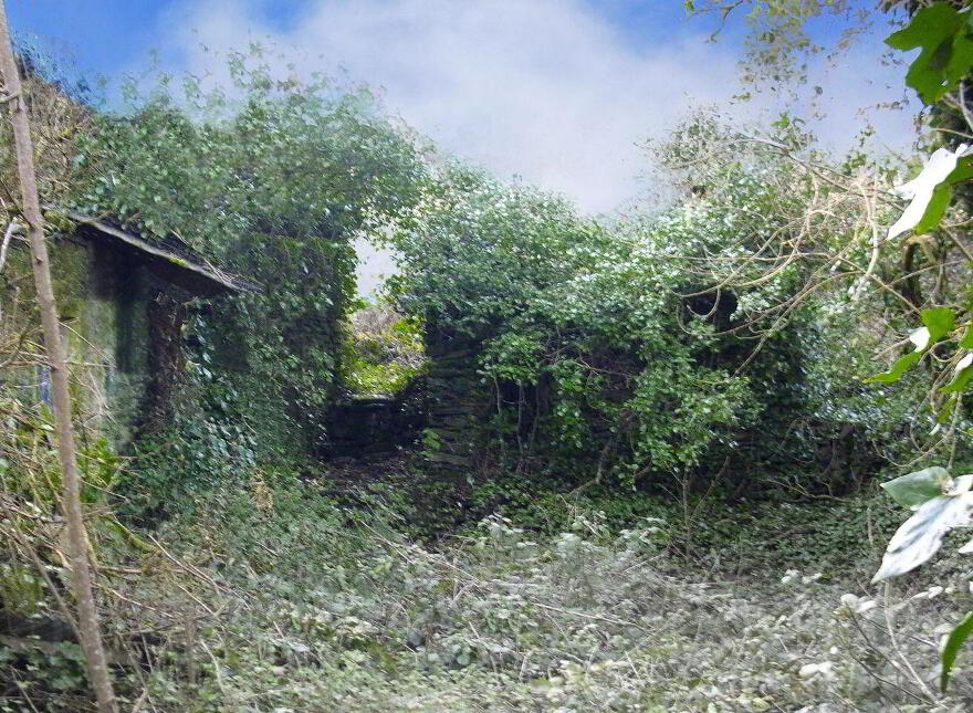 Ballyrisode, Goleen, P81A992