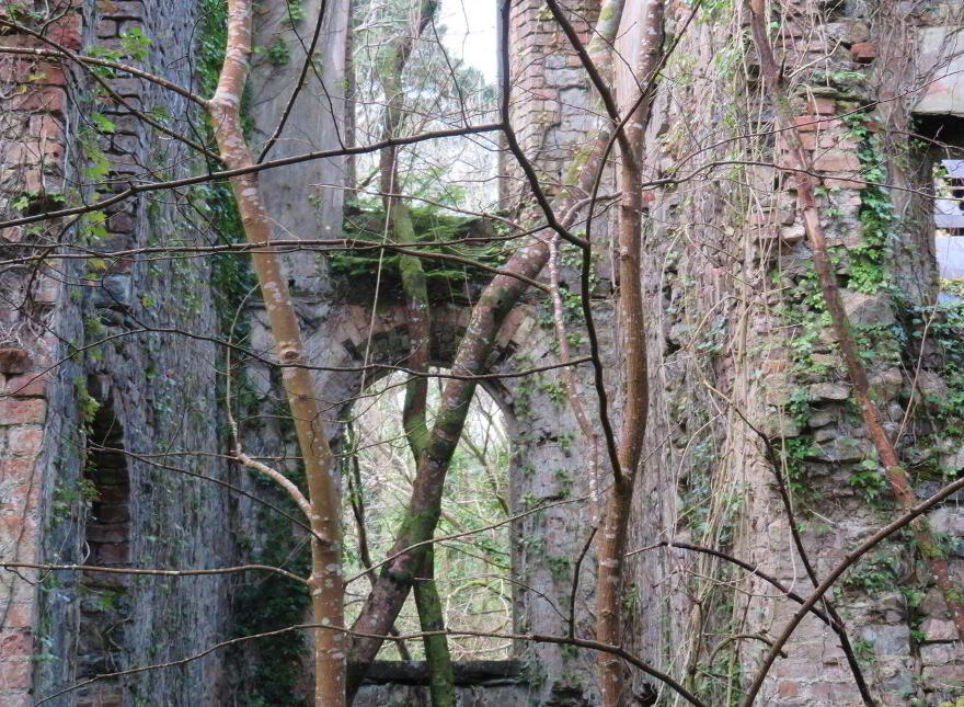 Paradise Lodge, Paradise, Ballynacally, V95A4E4