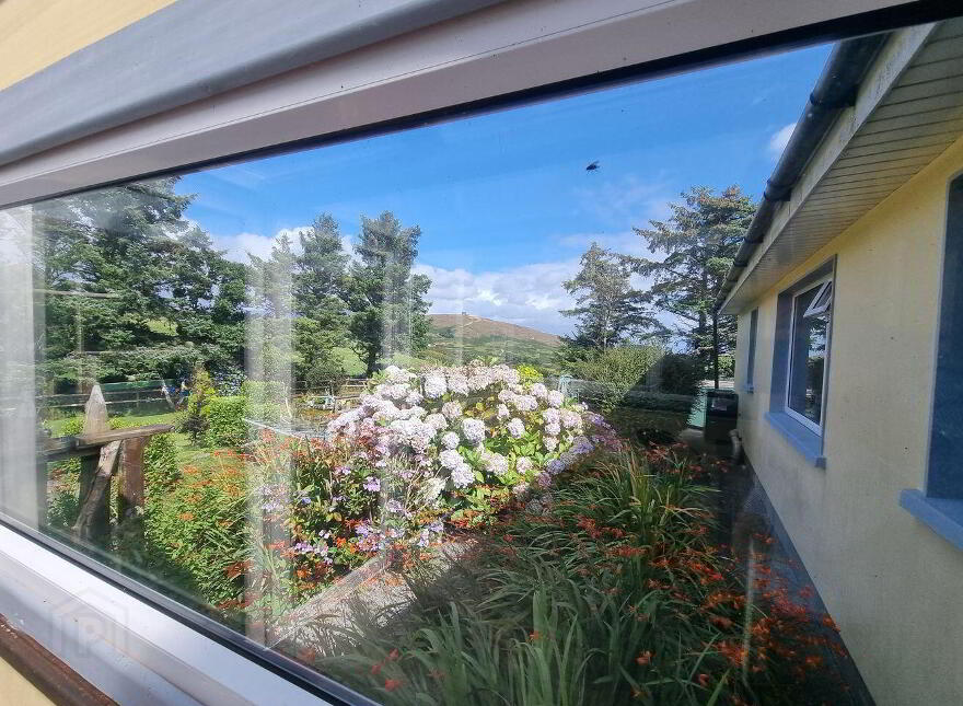 Greenane, Bere Island, Beara, P75P448