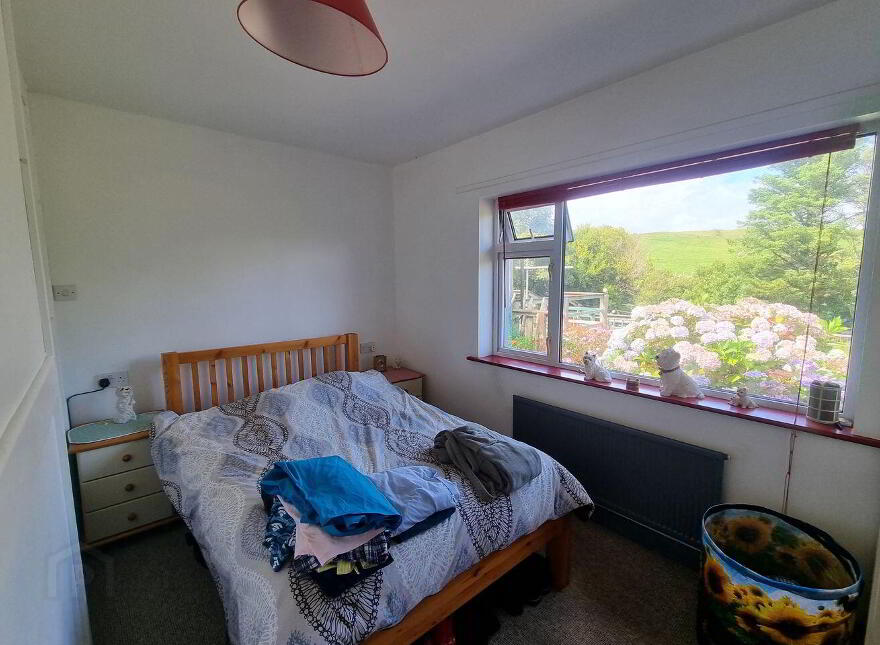 Greenane, Bere Island, Beara, P75P448