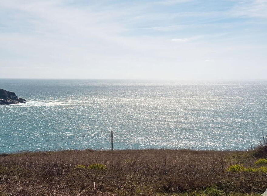 Kilkinnihan West, Cahermore, Beara, P75K036