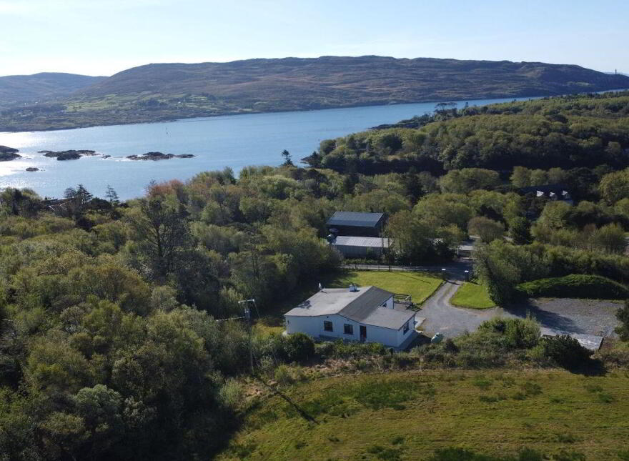 Droum Wood, Beara, Beara, P75AP04