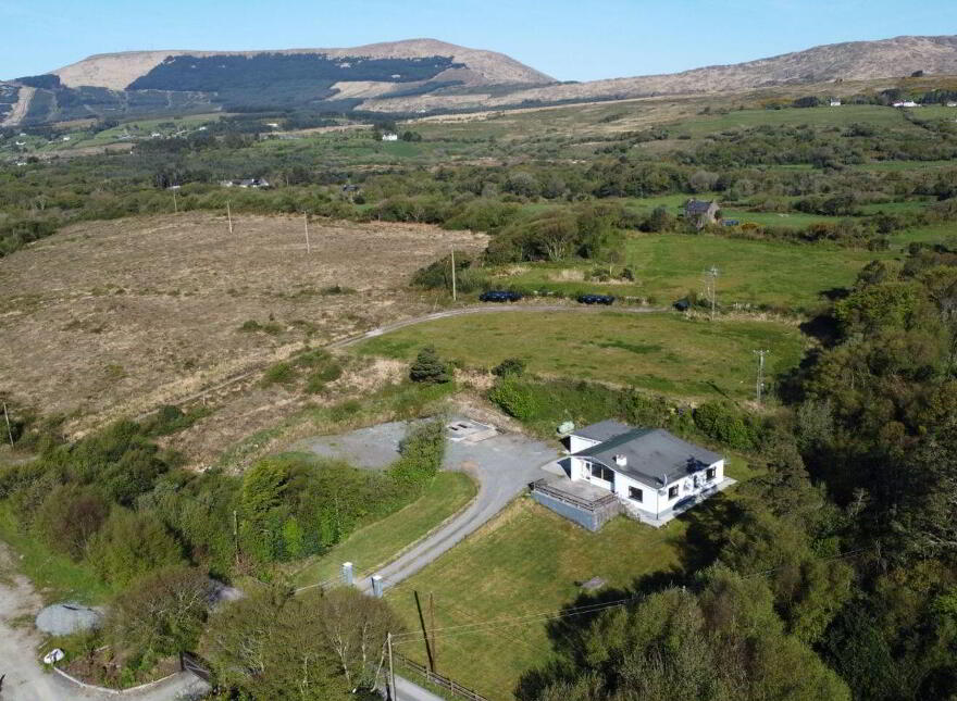 Droum Wood, Beara, Beara, P75AP04