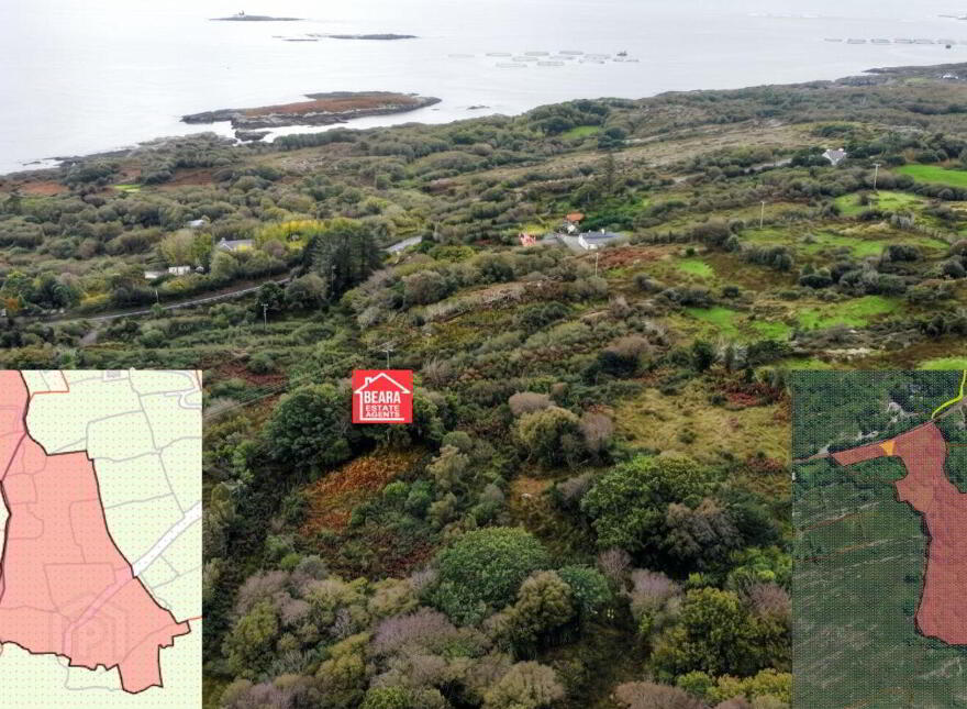 Derreeny, Beara, Beara photo