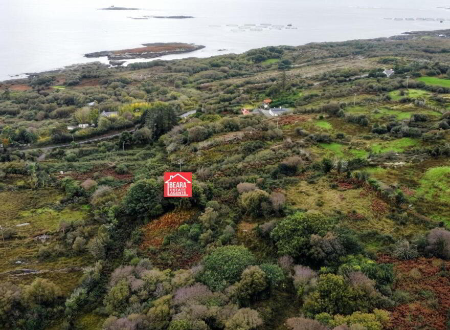 Derreeny, Beara, Beara