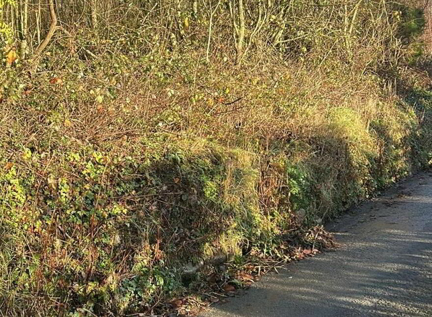 Ballynaboley, Kilmacow