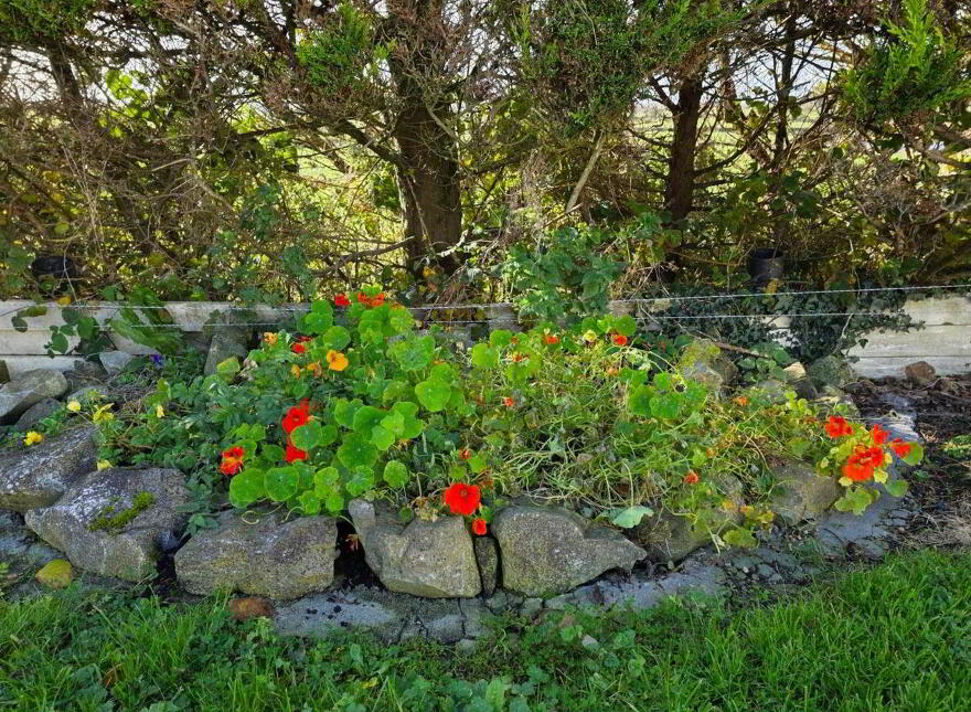 Esker, Glenamaddy, F45DV24