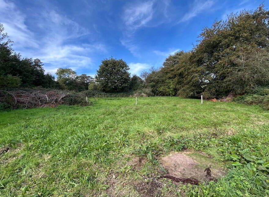 Castletown, Kilmallock, V35WD50