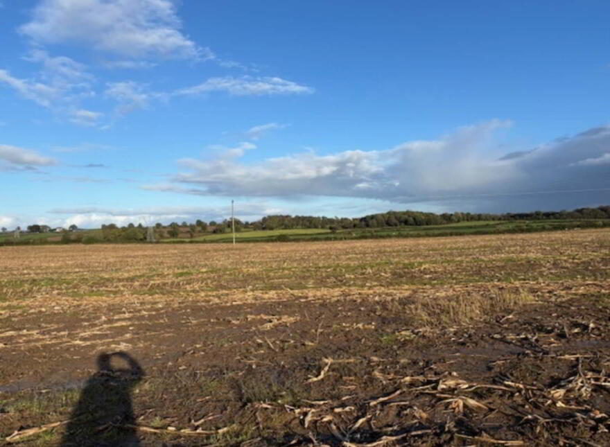 Drumminascart, Ballycommon, Nenagh