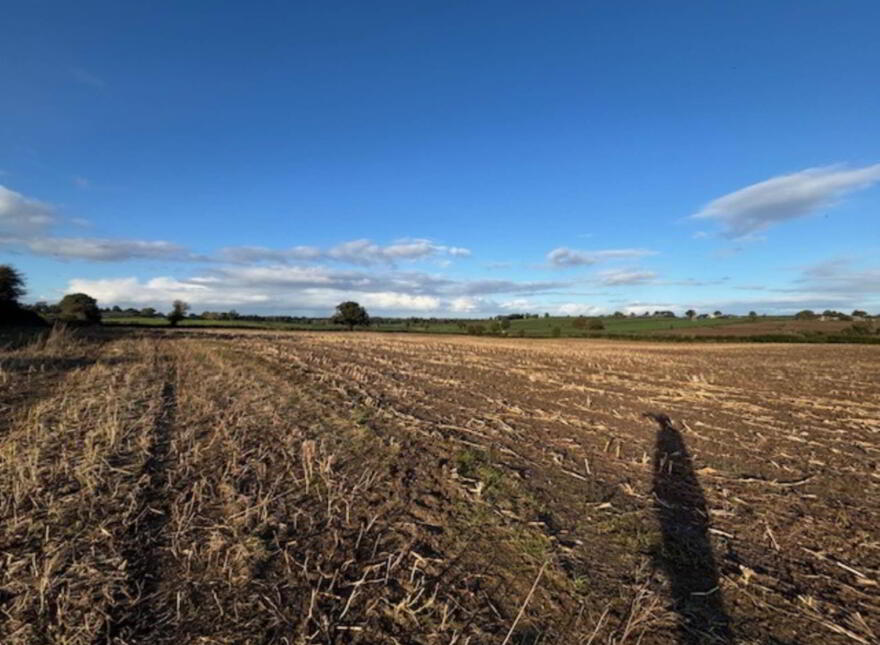 Drumminascart, Ballycommon, Nenagh