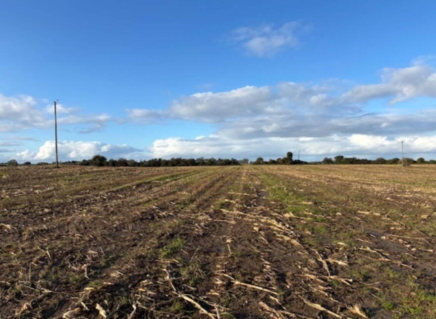 Drumminascart, Ballycommon, Nenagh
